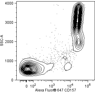 hCD157_A647_vs_SSC.png